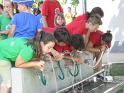 Grest_17-7-12 066